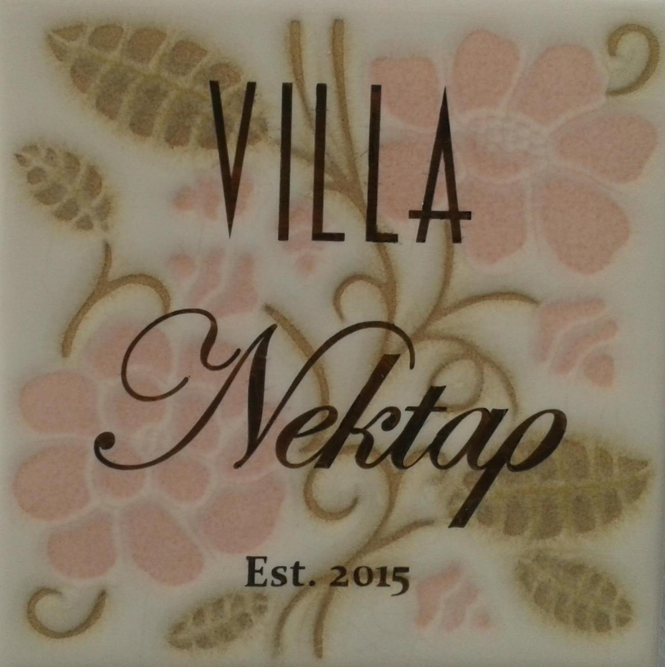 Villa Nektar Naxos City Exteriör bild